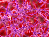 Нейронные связи клеток мозга