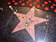 Звезда Дональда Трампа в Голливуде