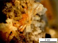 Призматические кристаллы риппита в карбонатитах Чуктуконского месторождения