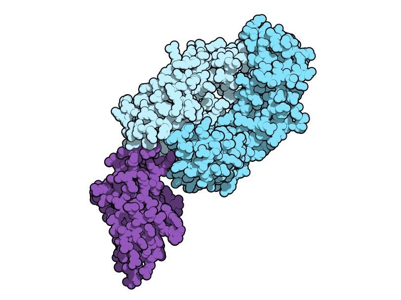 Молекулярная модель ниволумаба, связанного с протеином PD-1