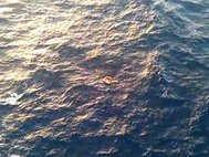 Спасательный плот в районе поисков судна «Восток»