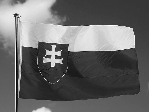 Флаг Словакии ч/б