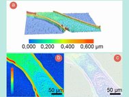 Исследование рельефа напечатанной линии: а) 3D модель; b) 2D модель (на a и b цветом обозначена высота микрорельефа); c) оптическое изображение исследуемого участка