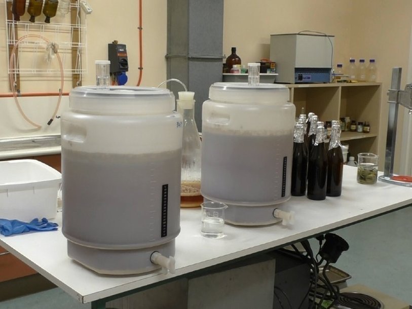 Приготовление старинного пива в лабораторных условиях