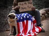 Нищий и собака с американским флагом