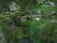 Последствия урагана в Барнауле 23 июня 2018 года