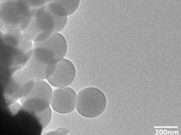 NanoMIP под микроскопом