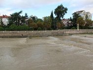 Разлившаяся река Сочи