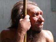 Неандерталец (реконструкция в Неандертальском музее в Германии)