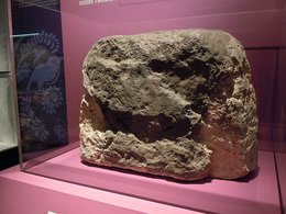 Лондонский камень в Музее Лондона