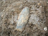 Каменный наконечник возрастом 15 тысяч лет