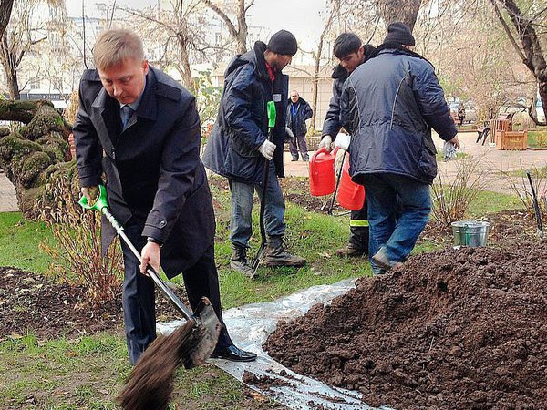 Картинка посадка деревьев