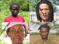 В исследовании были изучены геномы жителей Африки из пятидесяти этнических групп, в том числе (по часовой стрелке начиная из верхнего левого угла) сабуэ, сан, хадза, и сандаве