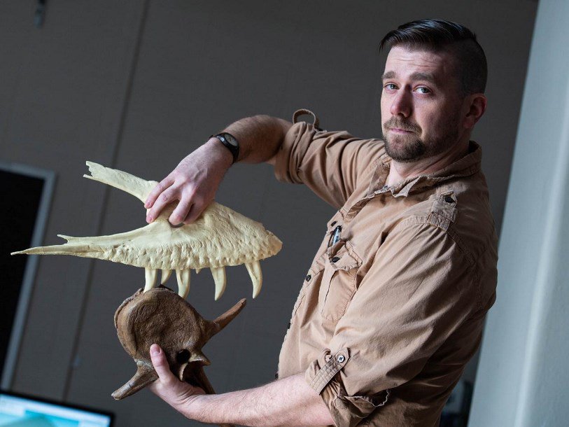Палеонтолог Джозеф Петерсон демонстрирует, как юный тираннозавр кусает эдмонтозавра