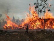 Пожар в национальном парке «Лосиный остров»