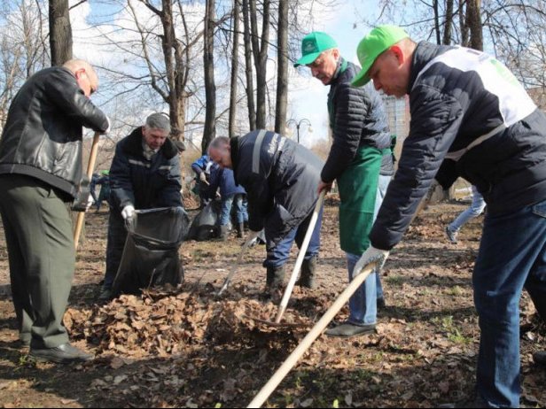 Побелка деревьев в подмосковье