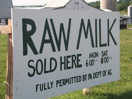 Сторонники движения в поддержку сырого молока убеждены в том, что не прошедшие обработку молочные продукты не только вкуснее, но и полезнее