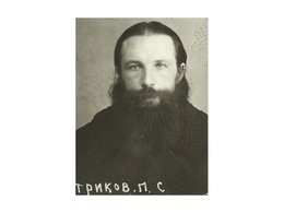 Священномученик Петр Петриков