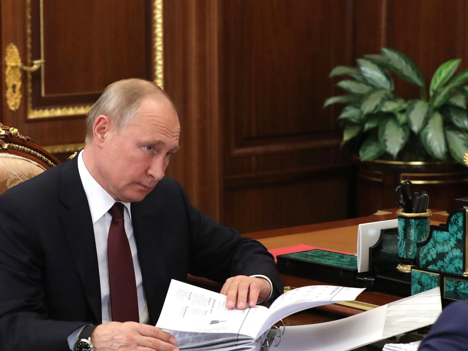 Цветок у Путина в кабинете