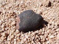 Один из обнаруженных метеоритов