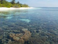 Побережье Мальдивских островов
