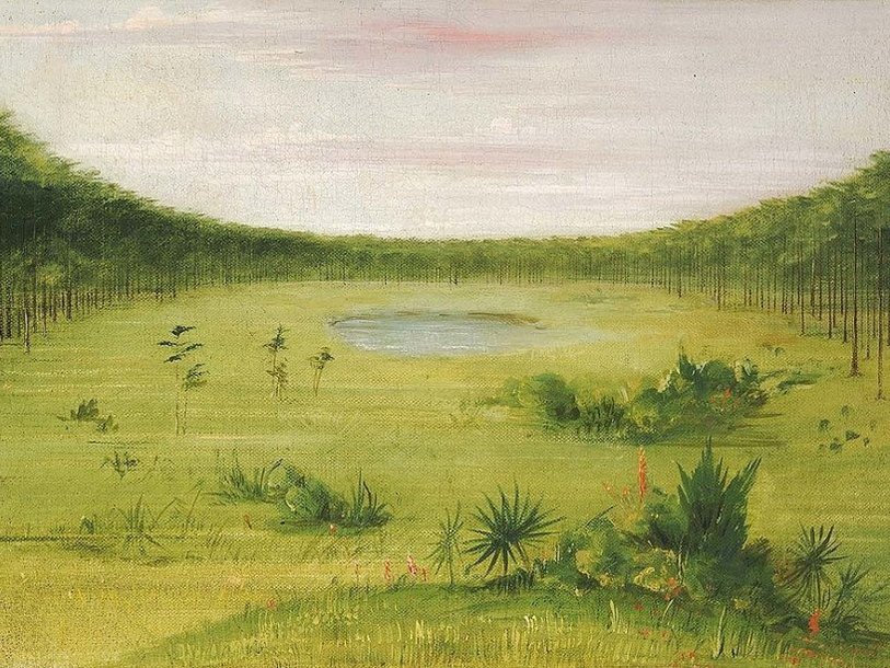 Джордж Кэтлин, Beautiful Savannah in the Pine Woods of Florida. 1834-1835 г.