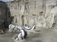 Кости мамонта, найденные в Тультепеке