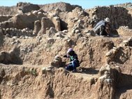 Раскопки в Бонджуклу-Тарла