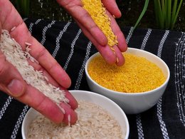 Белый и золотой рис