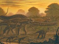 майюнгазавром преследуют рапетозавра