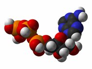 Молекула аденозинтрифосфата