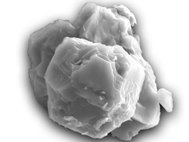 Зерно карбида кремения из Мурчисонского метеорита. Некоторые ученые признают возможность существования жизни на основе соединений кремния