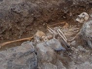 Один из обнаруженных в Сан-Мигель-де-Эреносар скелетов