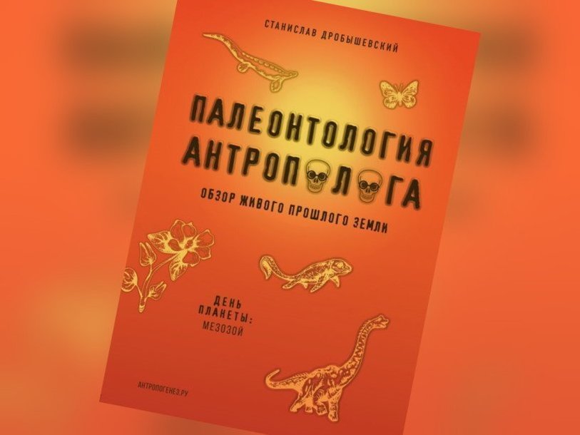 Палеонтология в картинках книга