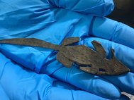 В Виндоланде нашли древнеримскую игрушечную мышку