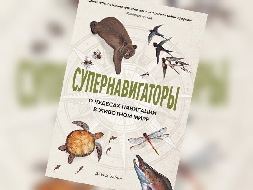 Чудеса навигации. Супернавигаторы : о чудесах навигации в животном мире / дэвид барри. супернавигаторы барри колибри. супер навигаторы книга. супер навигаторы о чудесах навигации в животном мире.
