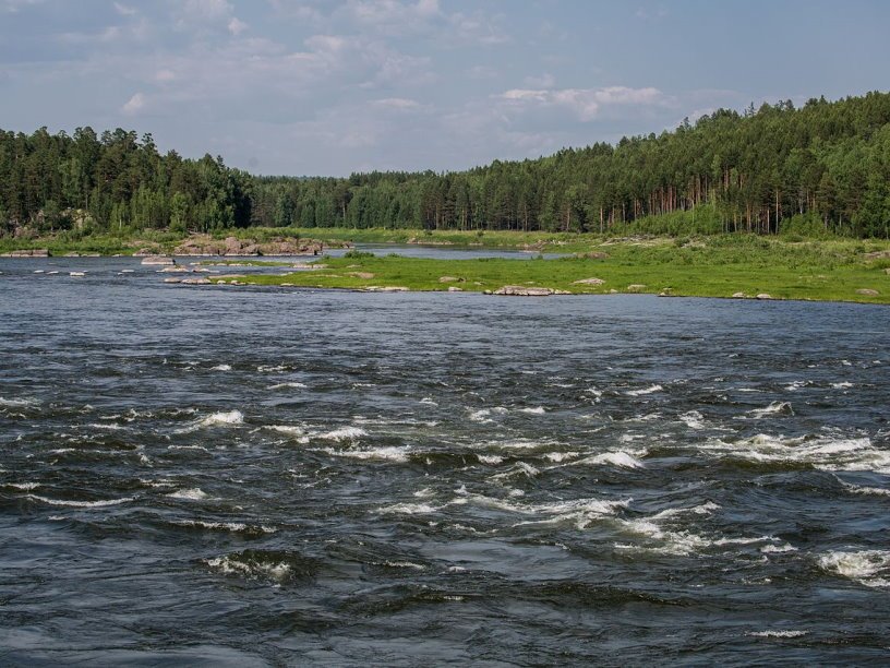 Фото водяного мха