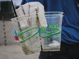 «Эко»-стаканы из пластика, найденные волонтерами на пляже Лонг-Айленда, Нью-Йорк