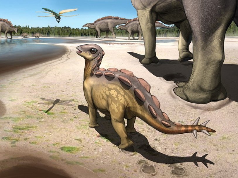 Ренонструкция стегозавров