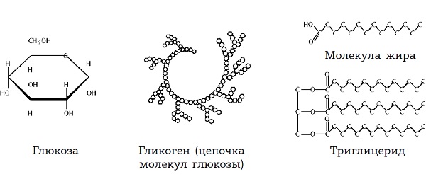 Молекула жира рисунок