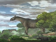Paraceratherium linxiaense