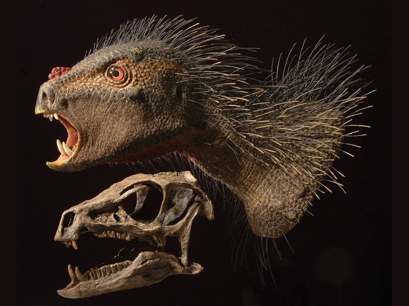 Реконструкция головы гетеродонтозавра