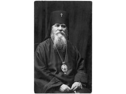 Священномученик Дамиан Воскресенский