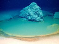 Соляные бассейны — одна из самых экстремальных сред на Земле