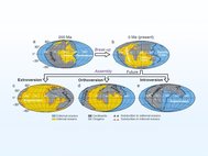 Три формы конечного этапа сборки суперконтинента