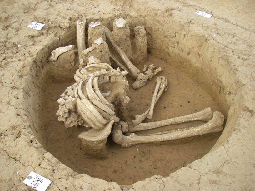 ps_Seated-buried-individual.-Photo-court