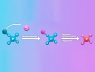 Иллюстрация схемы переноса гиперполяризации на фосфорсодержащую часть молекулы