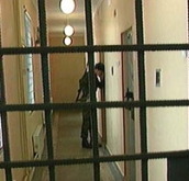 «Губа» вернулась