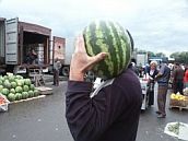 Арбузы легализовались в Москве