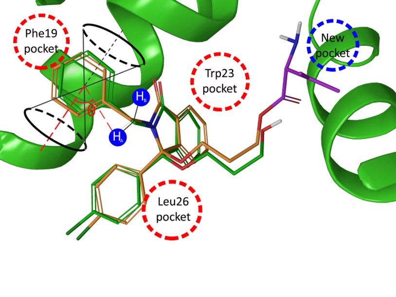 Активация «хранителя генома» поможет в борьбе с раком